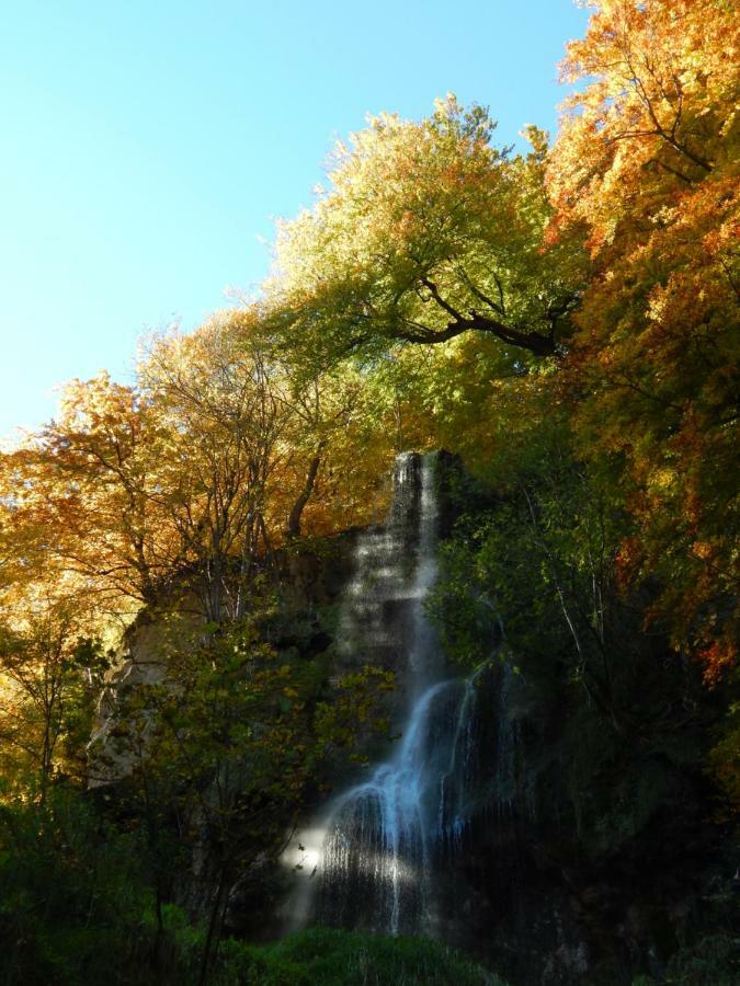 Free - Bei Den Thermen Apartment Bad Urach