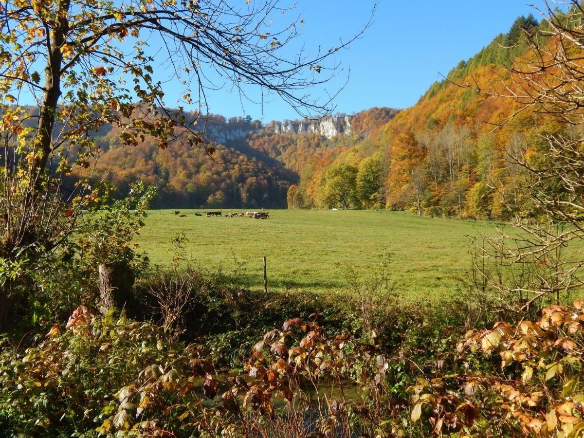 Apartment Free - Bei Den Thermen Bad Urach