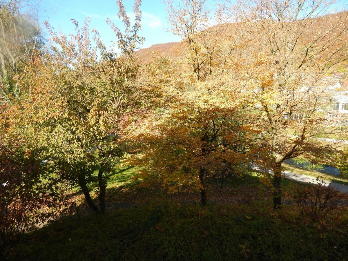 Free - Bei Den Thermen Apartment Bad Urach